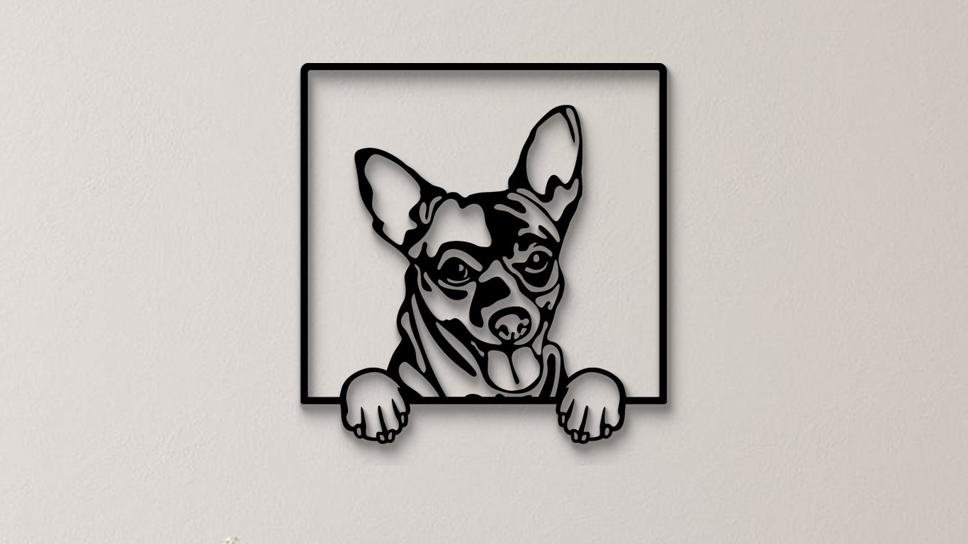 Chihuahua