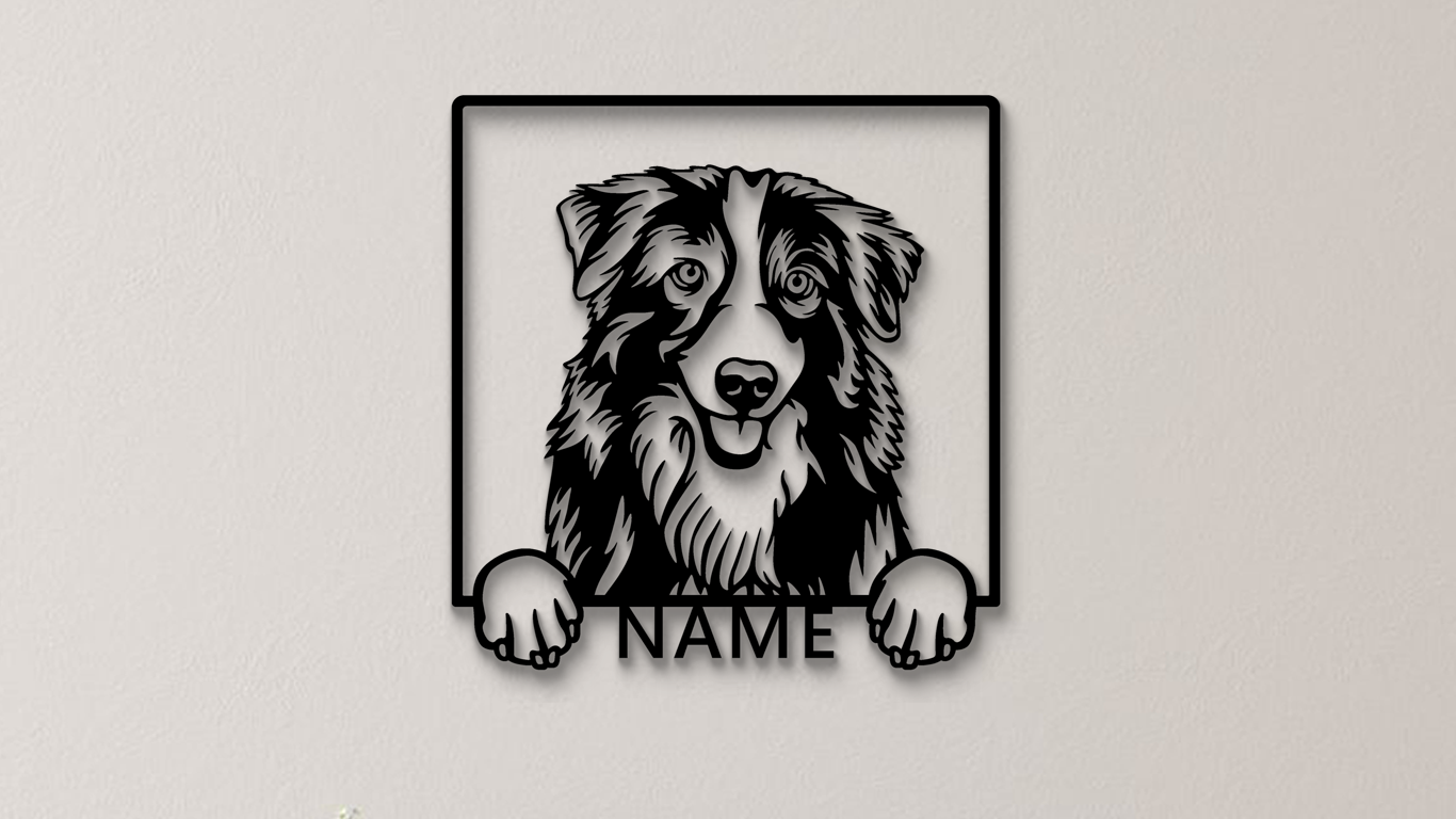 Australian Shepherd