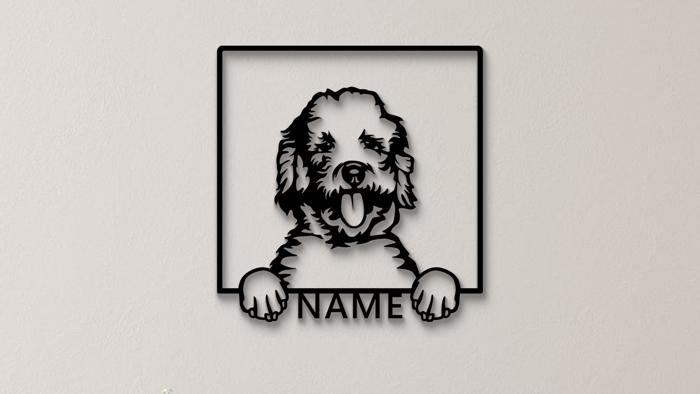 Labradoodle