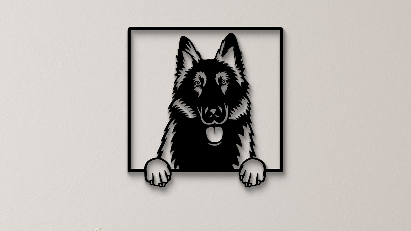 Belgischer Schäferhund