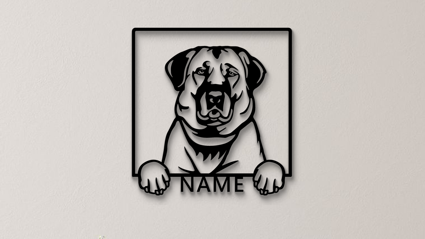 Anatolischer oder Kangal Hirtenhund