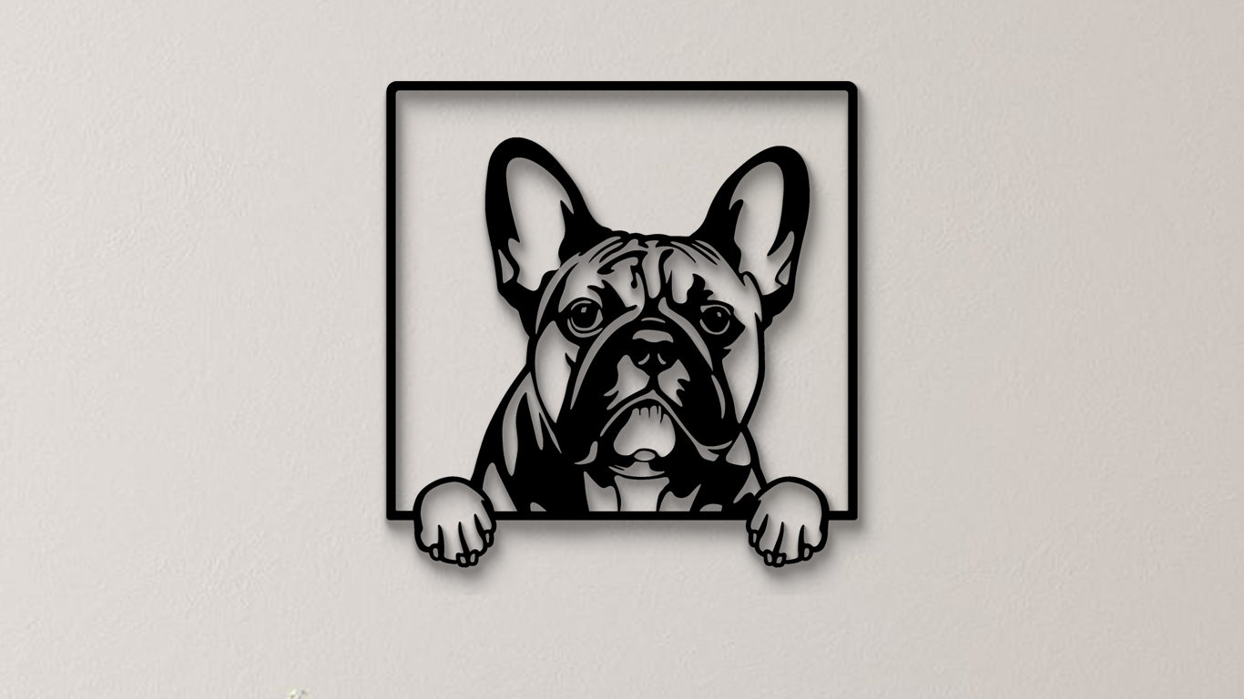 Französische Bulldogge