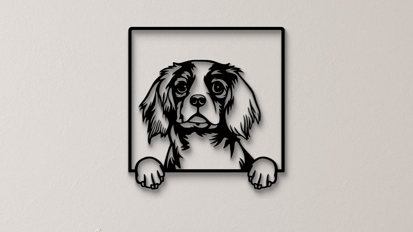 Cavalier King Charles Spaniel