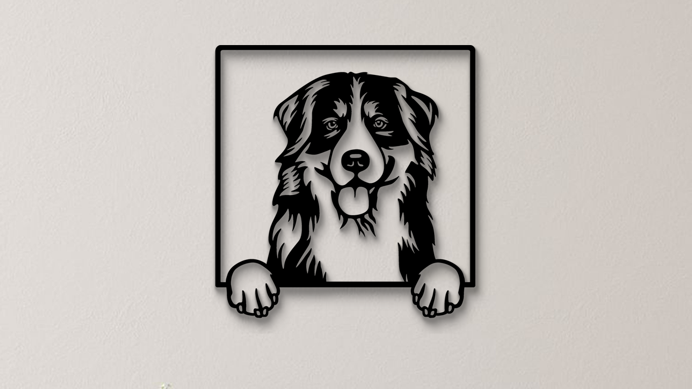 Berner Sennenhund