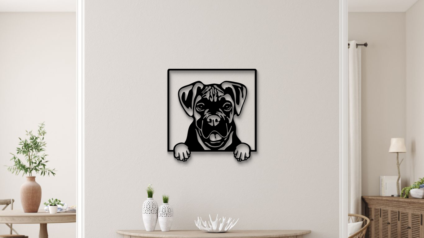 Boxer
