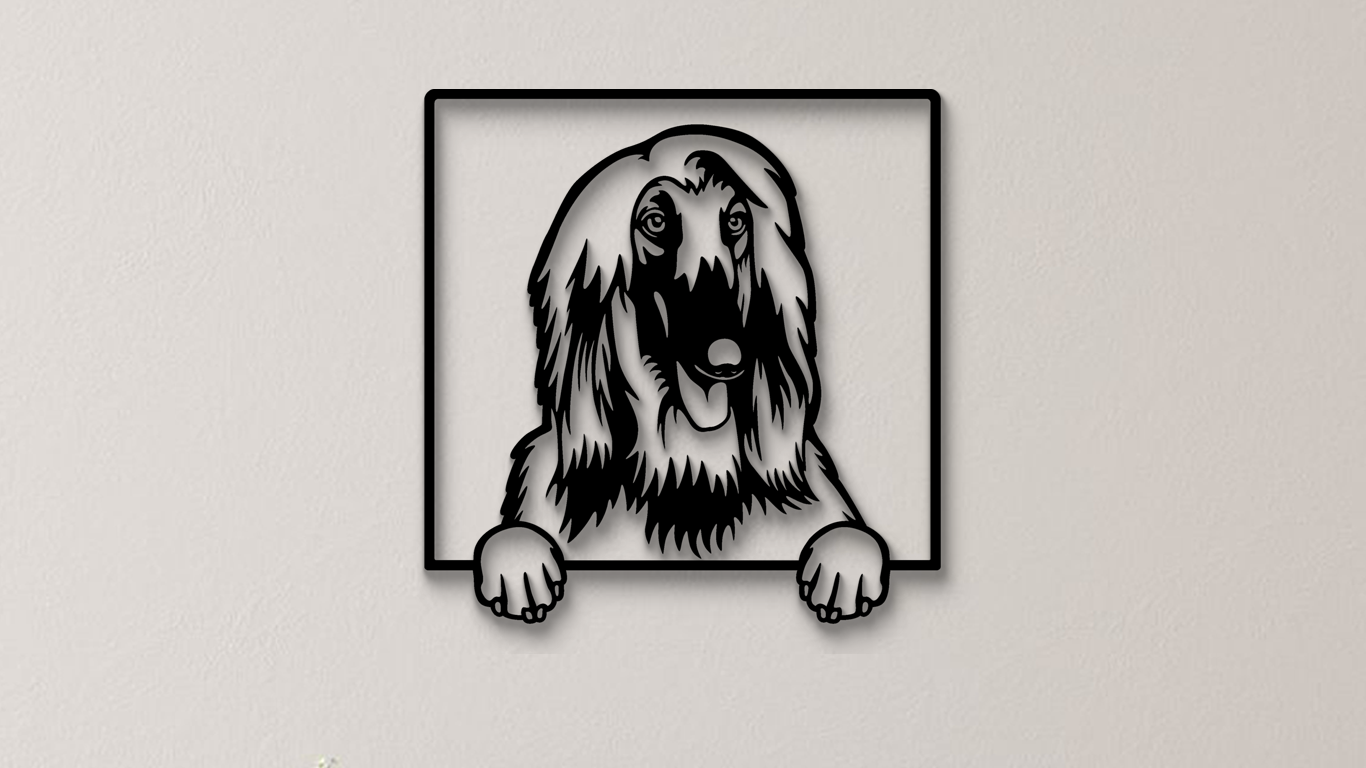 Afghanischer Windhund