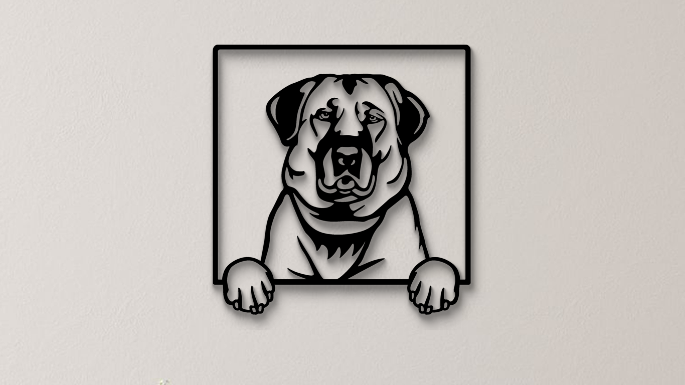 Anatolischer oder Kangal Hirtenhund