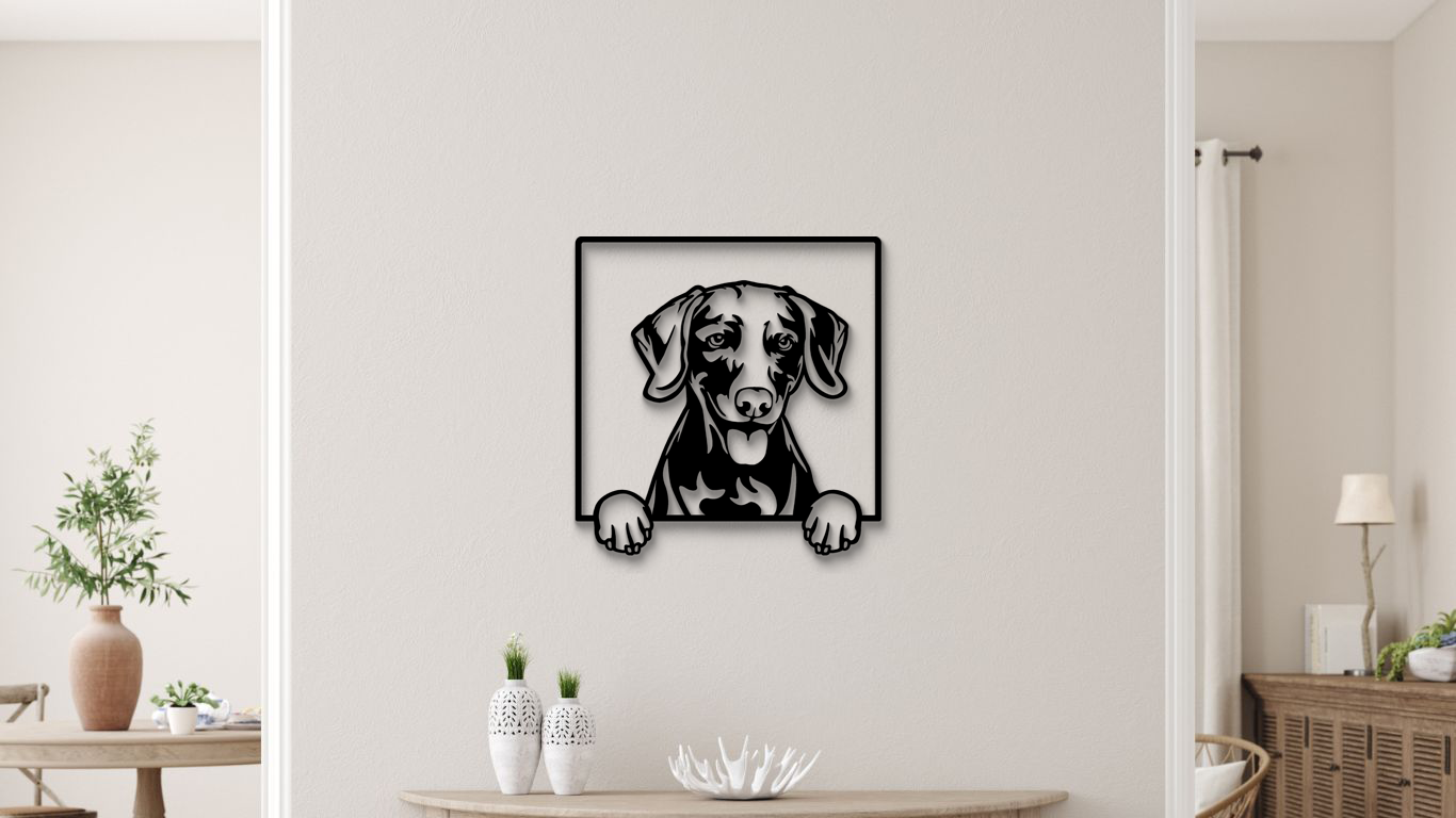 Weimaraner