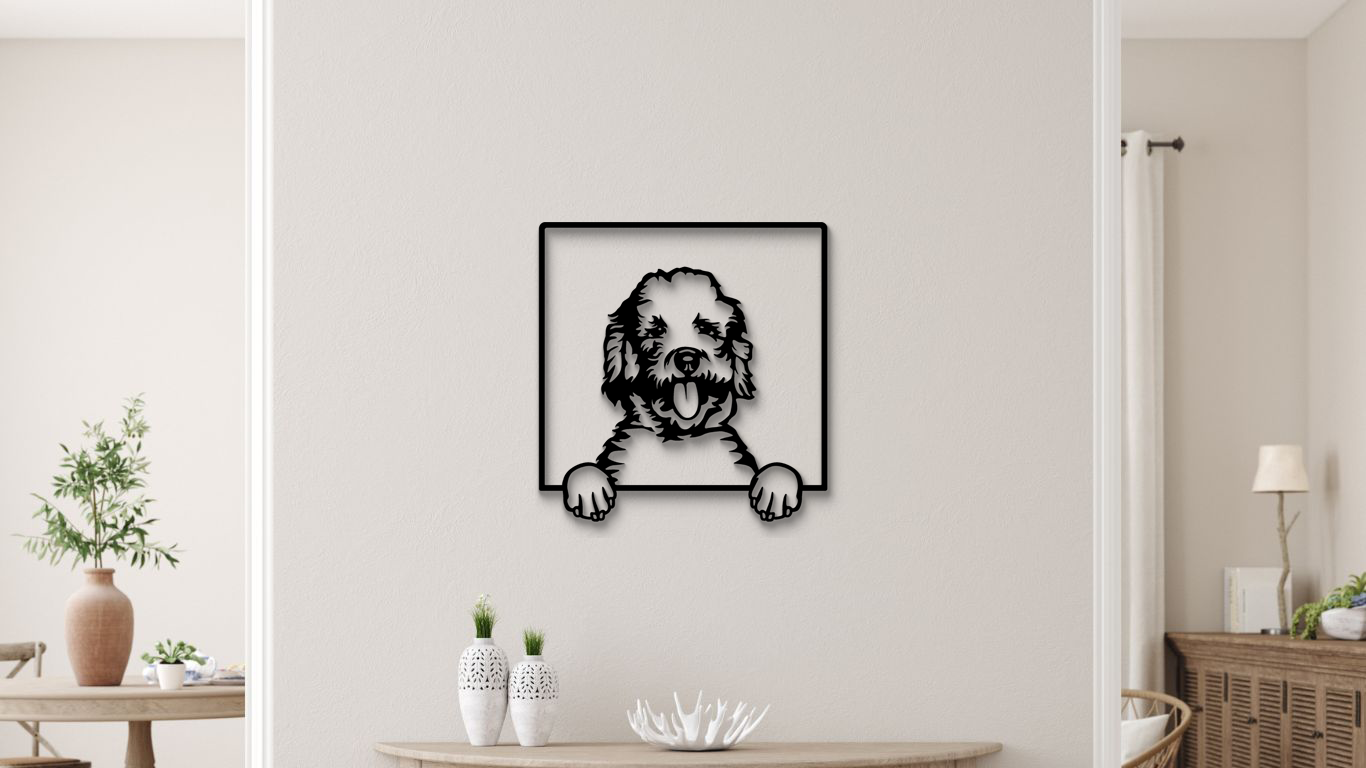 Labradoodle