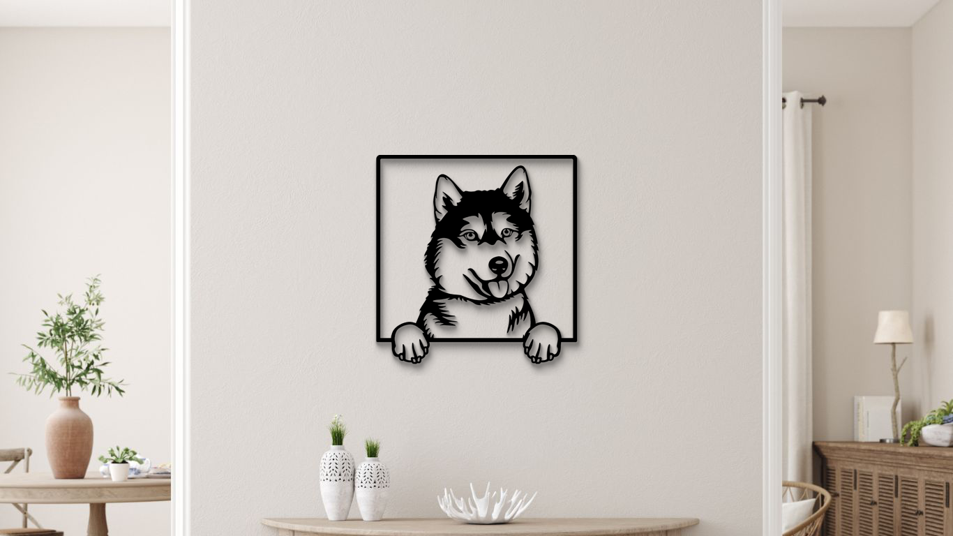 Sibirischer Husky