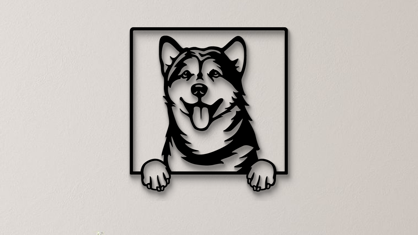 Alaskischer Malamute
