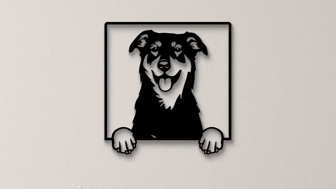Beauceron