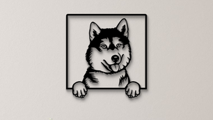 Sibirischer Husky