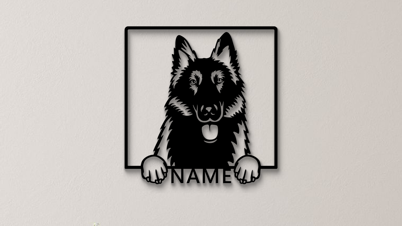 Belgischer Schäferhund
