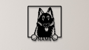 Belgischer Schäferhund