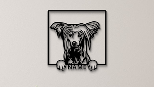 Chinesischer Schopfhund