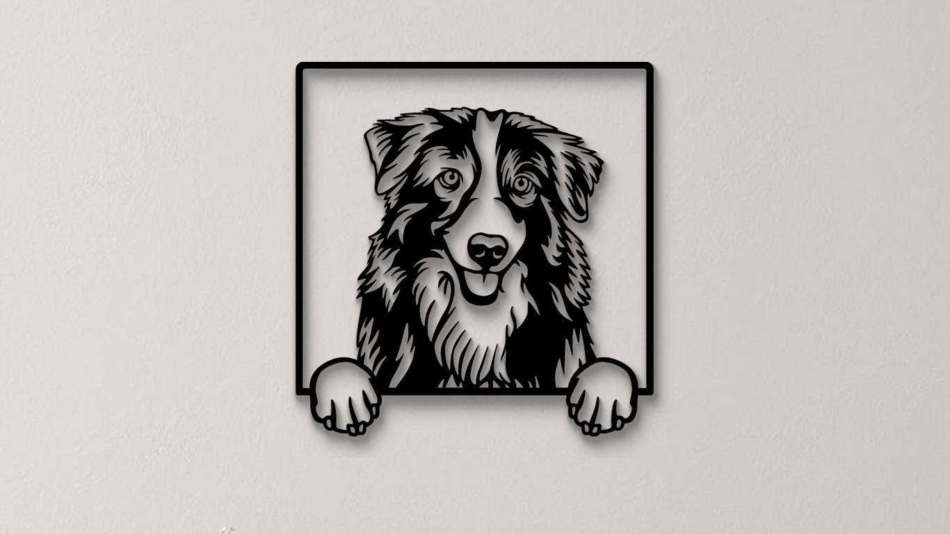 Australian Shepherd