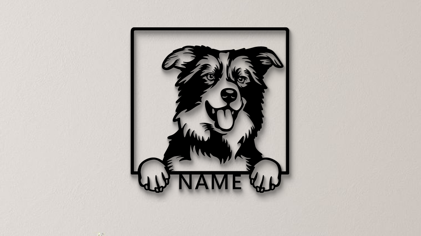 Border Collie