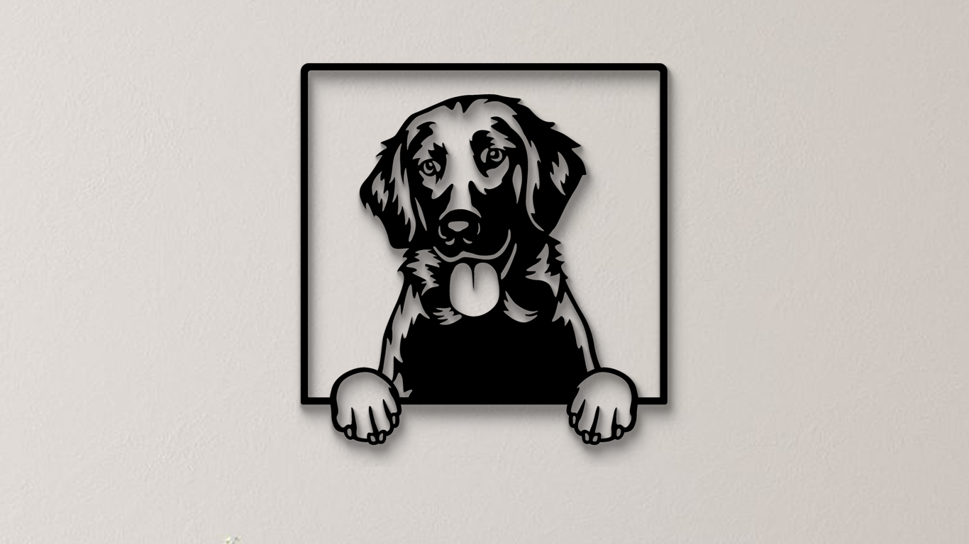 Flat Coated Retriever