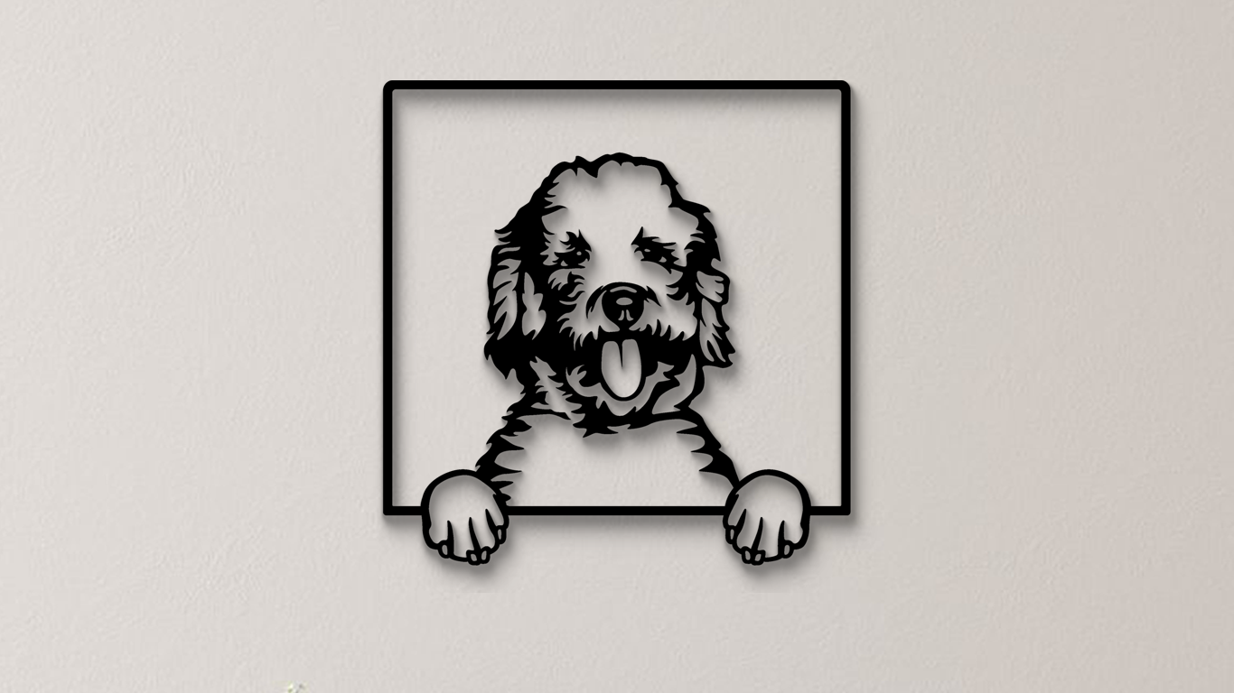 Labradoodle