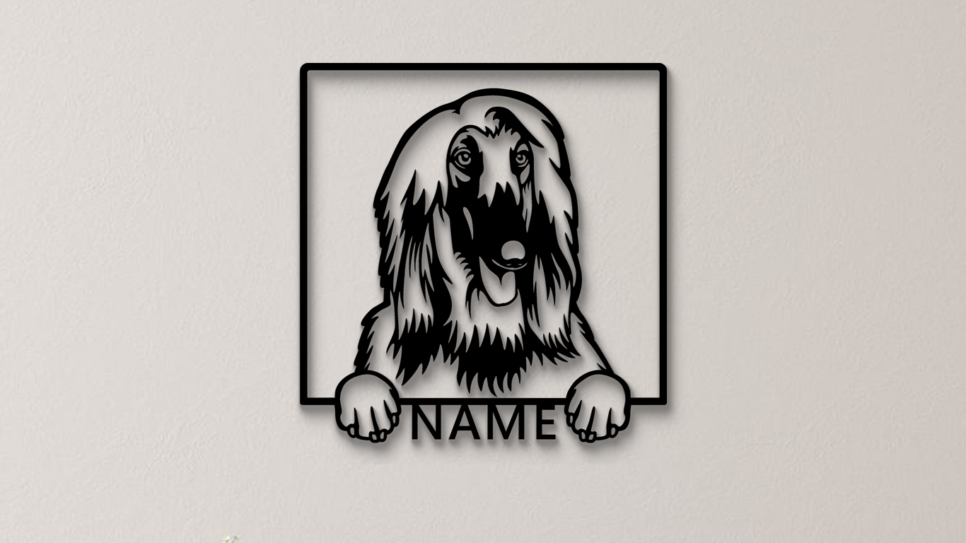 Afghanischer Windhund