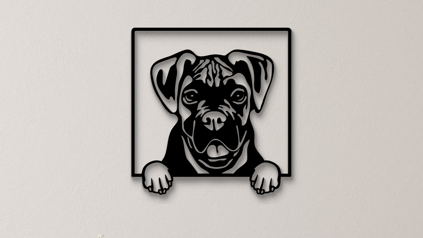Boxer