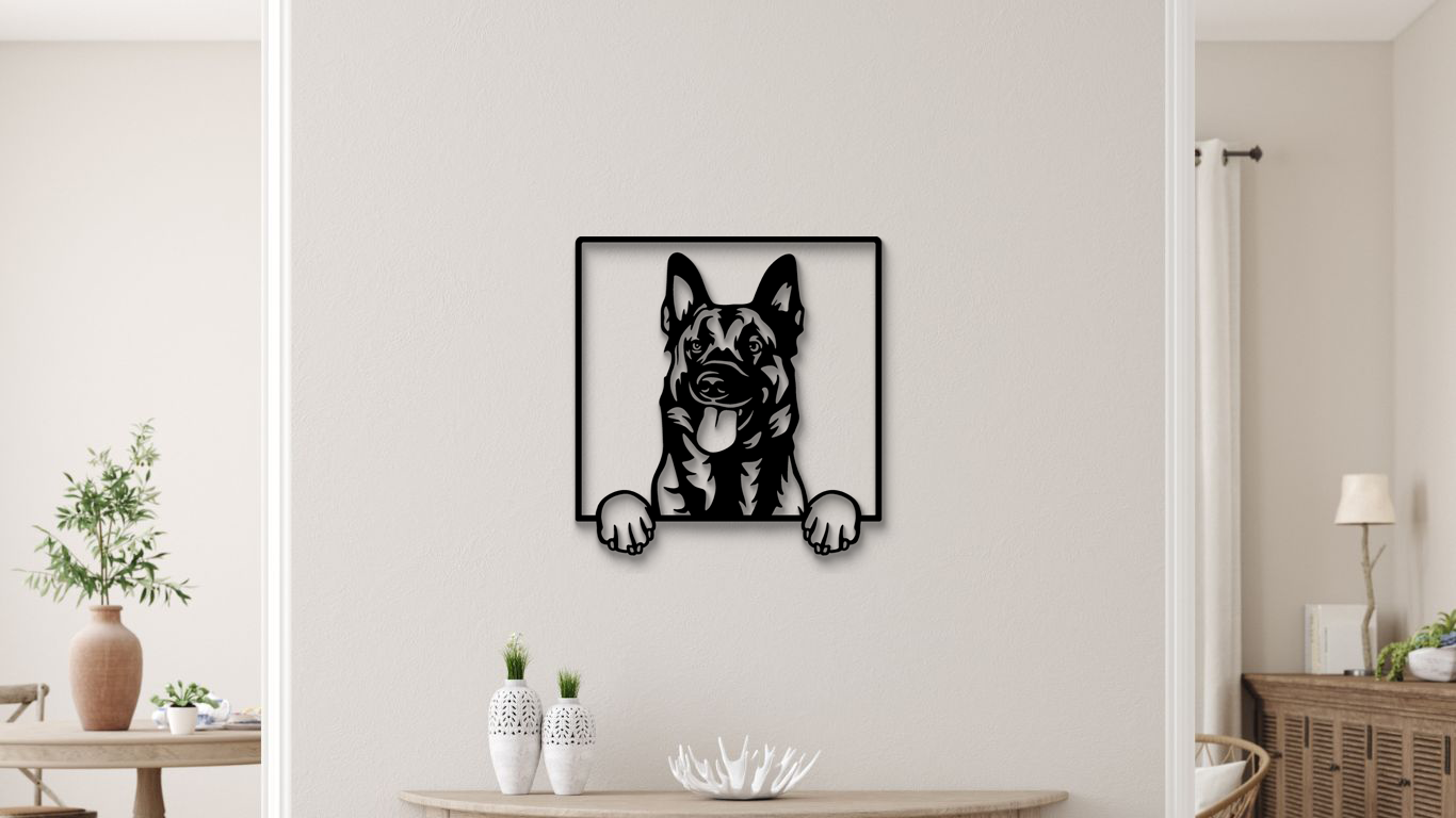 Belgischer Malinois