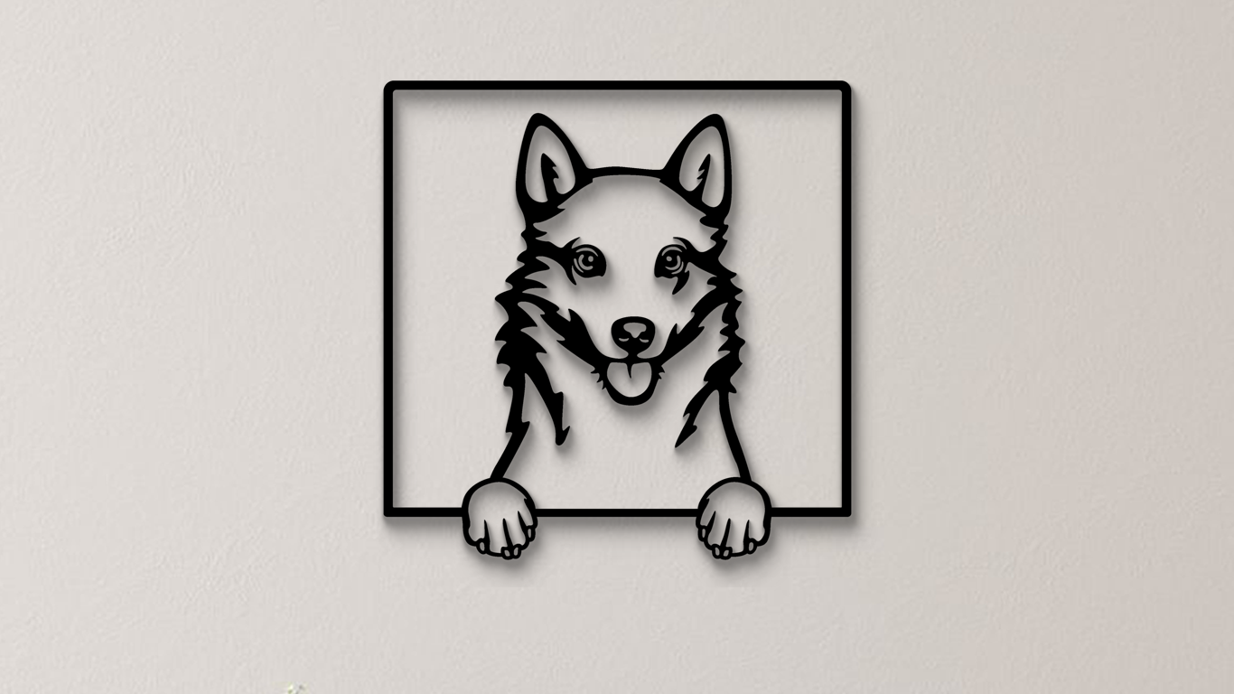 Finnischer Spitz