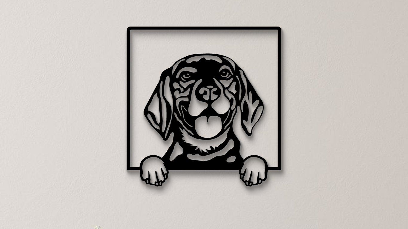 Beagle
